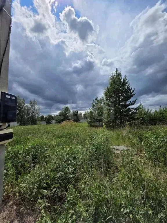 Участок в Воронежская область, Рамонский район, Айдаровское с/пос, с. ... - Фото 1