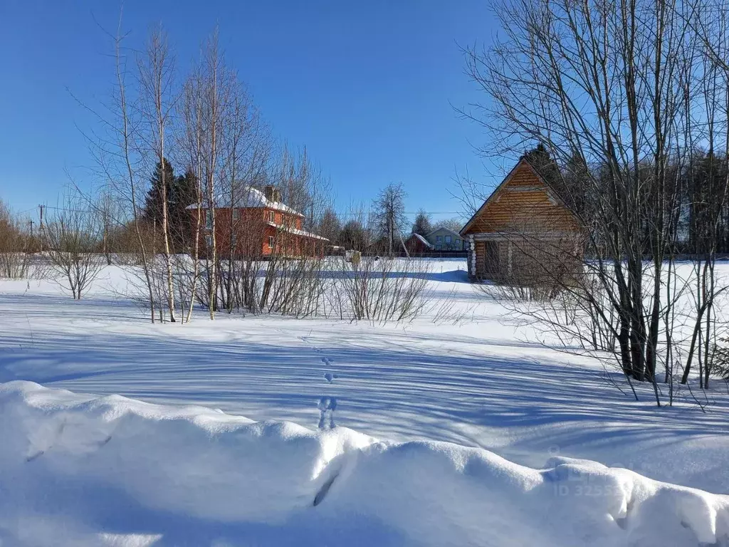 Участок в Московская область, Дмитровский муниципальный округ, д. ... - Фото 1