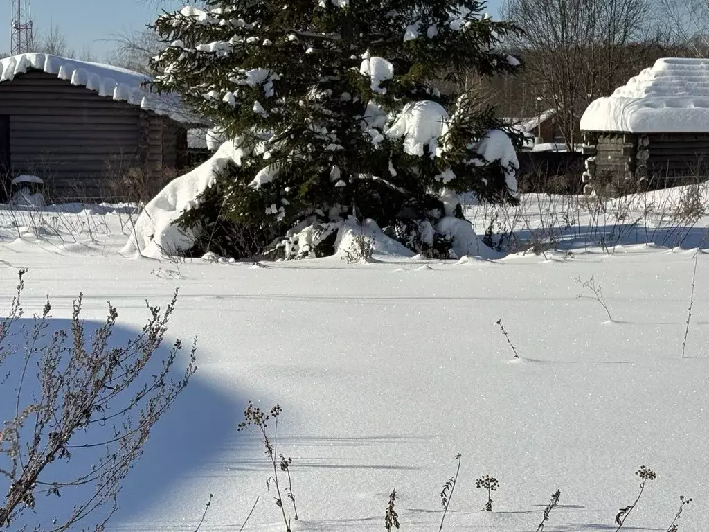Участок в Московская область, Чехов муниципальный округ, д. ... - Фото 1