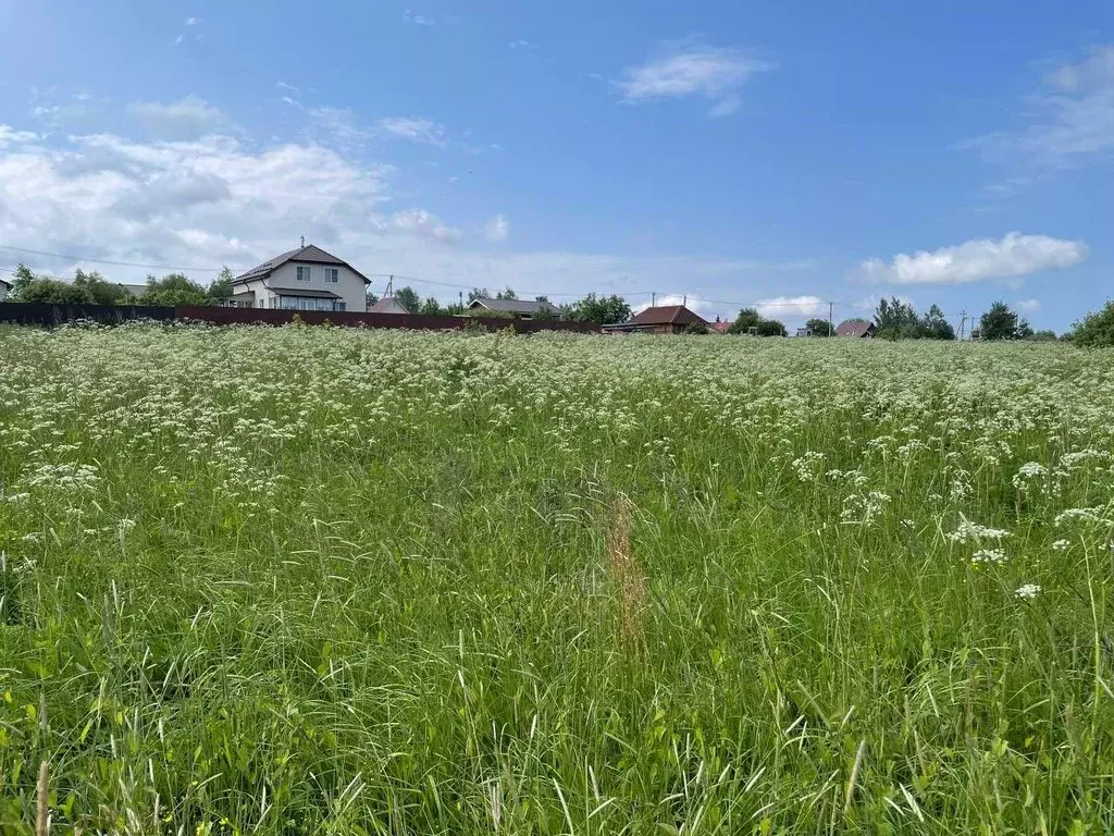 Участок в Московская область, Воскресенск городской округ, д. Цибино ... - Фото 0
