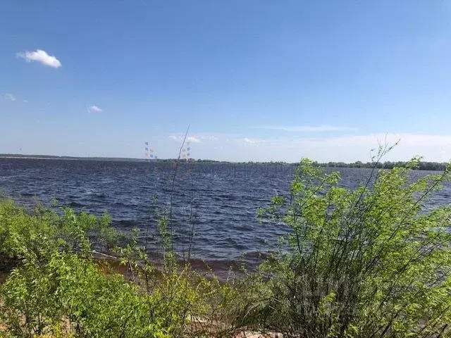 Участок в Нижегородская область, Лысковский район, с. Сельская Маза  ... - Фото 1