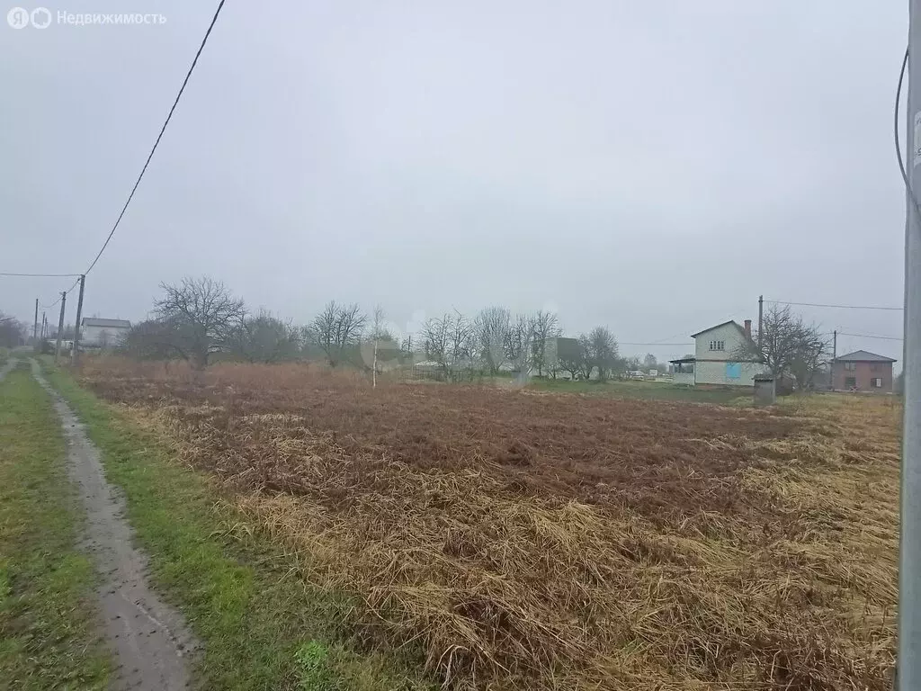 Участок в Брянский район, Мичуринское сельское поселение, ... - Фото 1