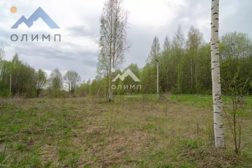 Участок в Вологодская область, Шекснинский муниципальный округ, ... - Фото 1