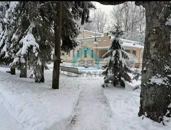 Участок в Ленинградская область, Волосовский район, Рабитицкое с/пос, ... - Фото 2