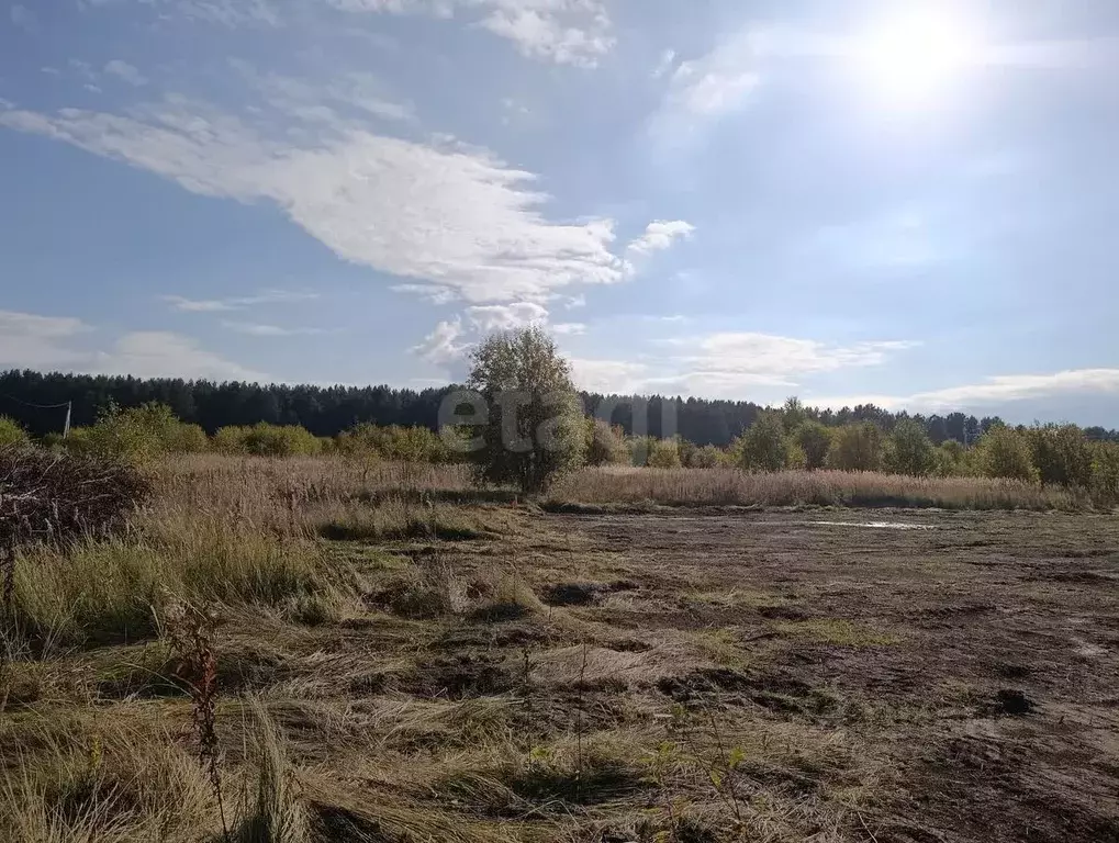 Участок в Свердловская область, Нижний Тагил Южный мкр,  (11.29 сот.) - Фото 0