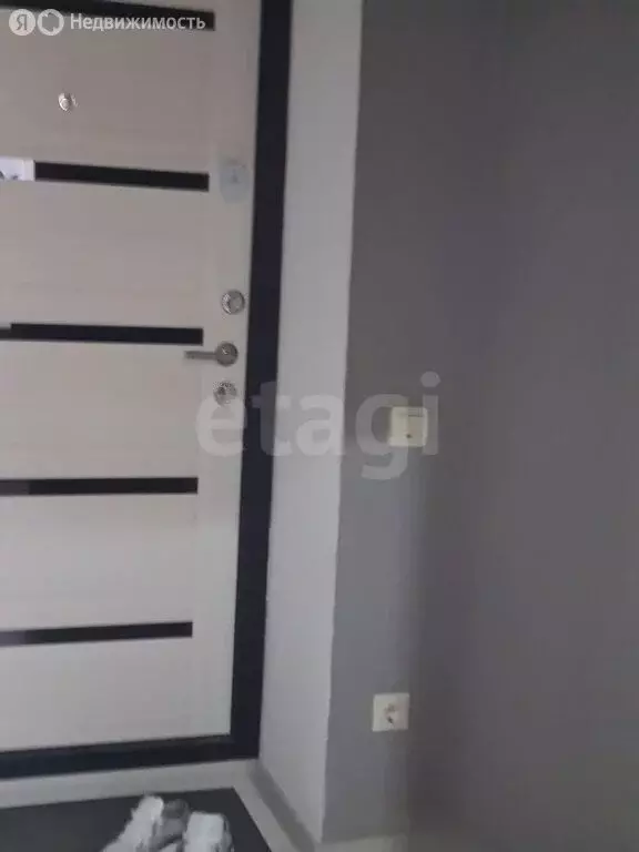 1-комнатная квартира: село Засечное, улица Натальи Лавровой, 16 (40 м) - Фото 2