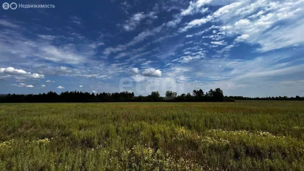 Участок в Амурская область, село Ивановка (134000 м) - Фото 0