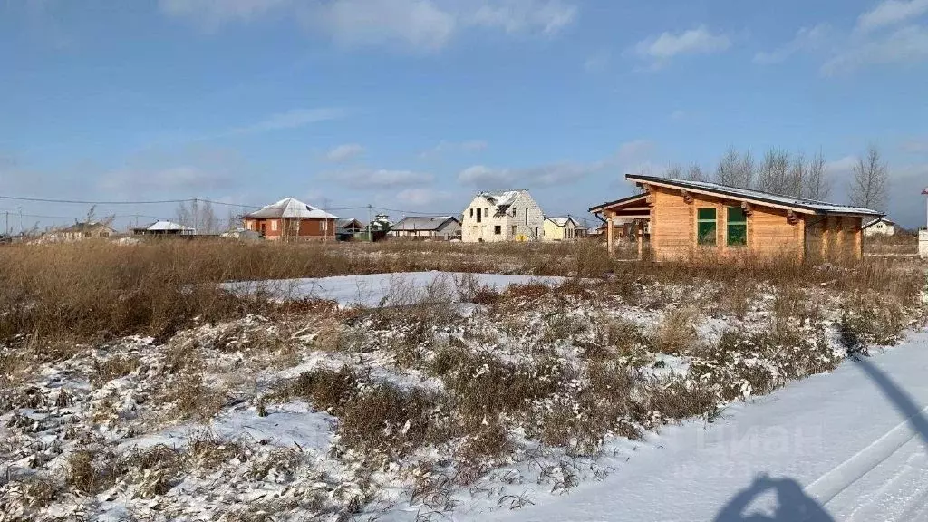 Участок в Новосибирская область, Новосибирский район, Толмачевский ... - Фото 2