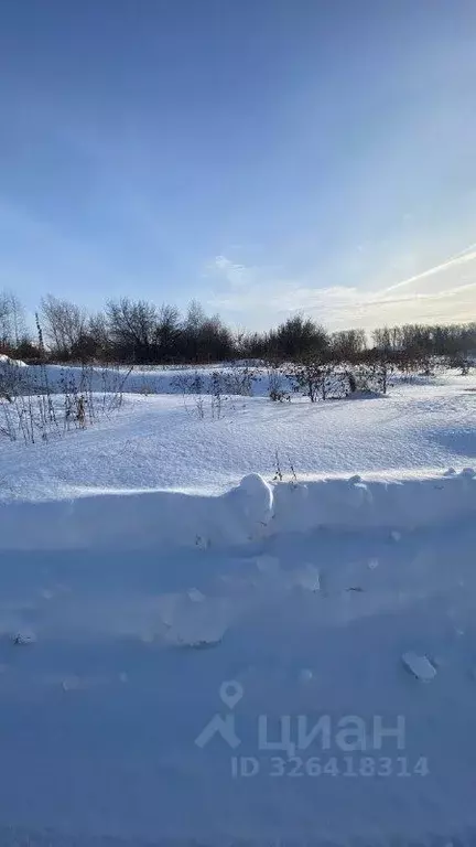 Участок в Новосибирская область, Куйбышев Каинская ул., 168 (8.0 сот.) - Фото 1