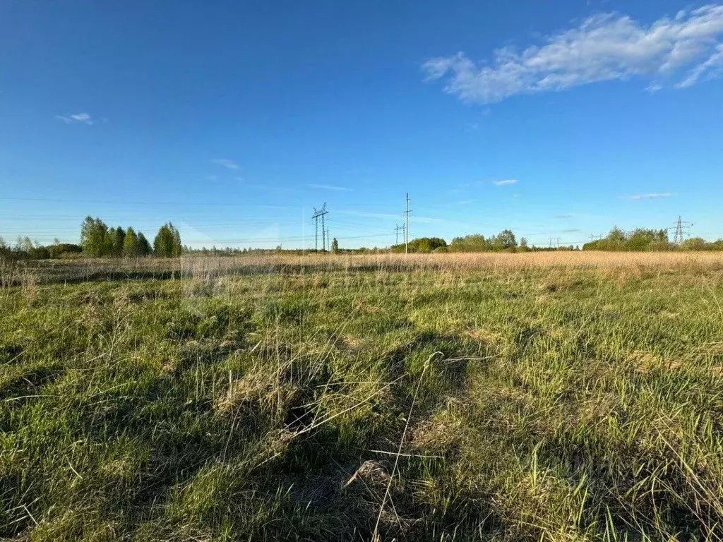 Участок в Тюменская область, Тюменский район, с. Борки  (11.4 сот.) - Фото 0