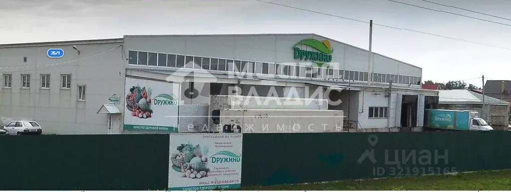Склад в Омская область, Омский район, с. Дружино Сибирская ул., 2Б ... - Фото 1
