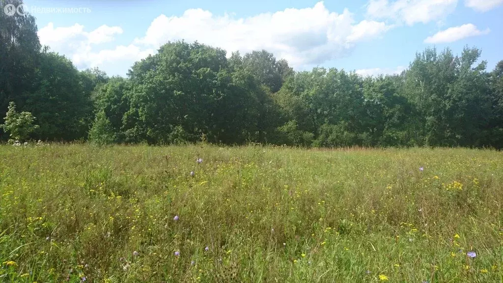 Участок в Волгоград, Клеверная улица, 3 (5.8 м) - Фото 1