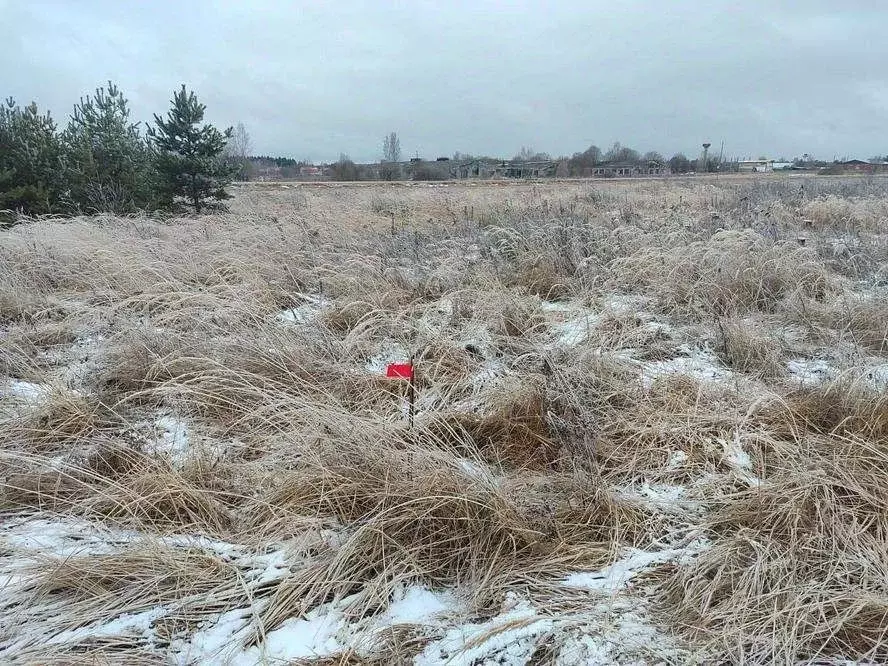 Участок в Московская область, Можайский муниципальный округ, д. ... - Фото 2