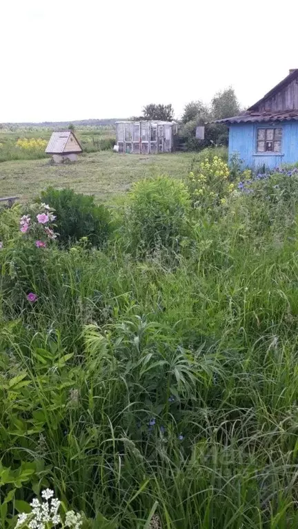 Участок в Тульская область, Алексин городской округ, д. Белолипки  ... - Фото 2