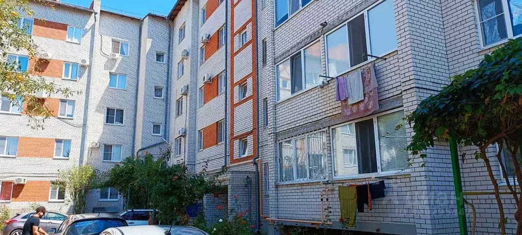 Помещение свободного назначения в Краснодарский край, Ейск ... - Фото 1