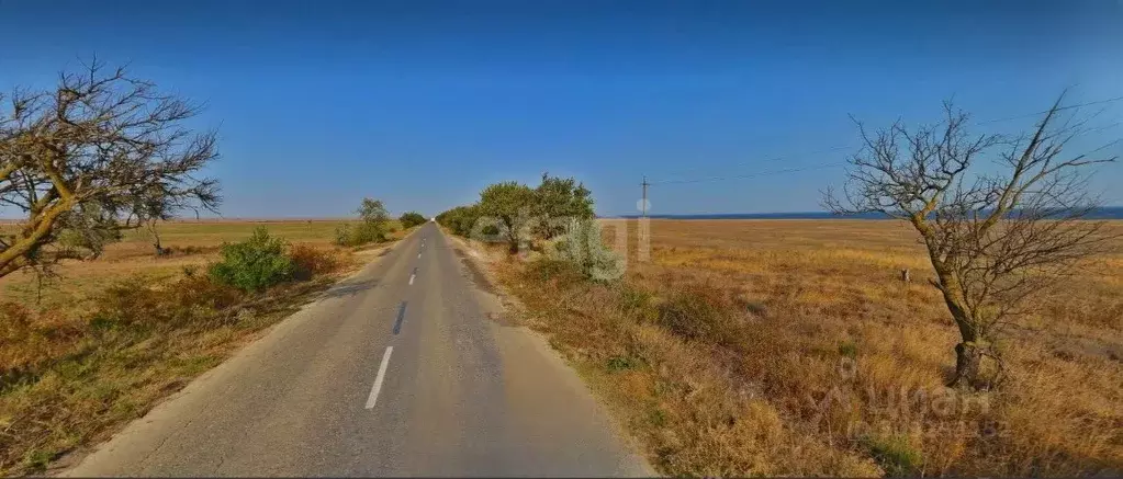 Участок в Крым, Черноморский район, Окуневское с/пос, с. Марьино  ... - Фото 0