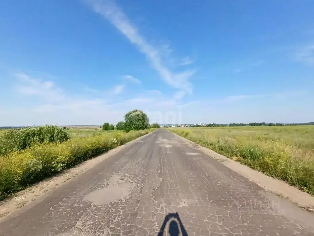 Участок в Нижегородская область, с. Дивеево ул. Дорожная (10.0 сот.) - Фото 1