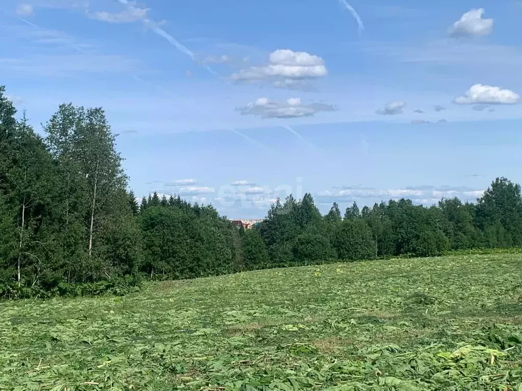 Участок в Коми, Сыктывдинский район, с. Выльгорт  (12.4 сот.) - Фото 1
