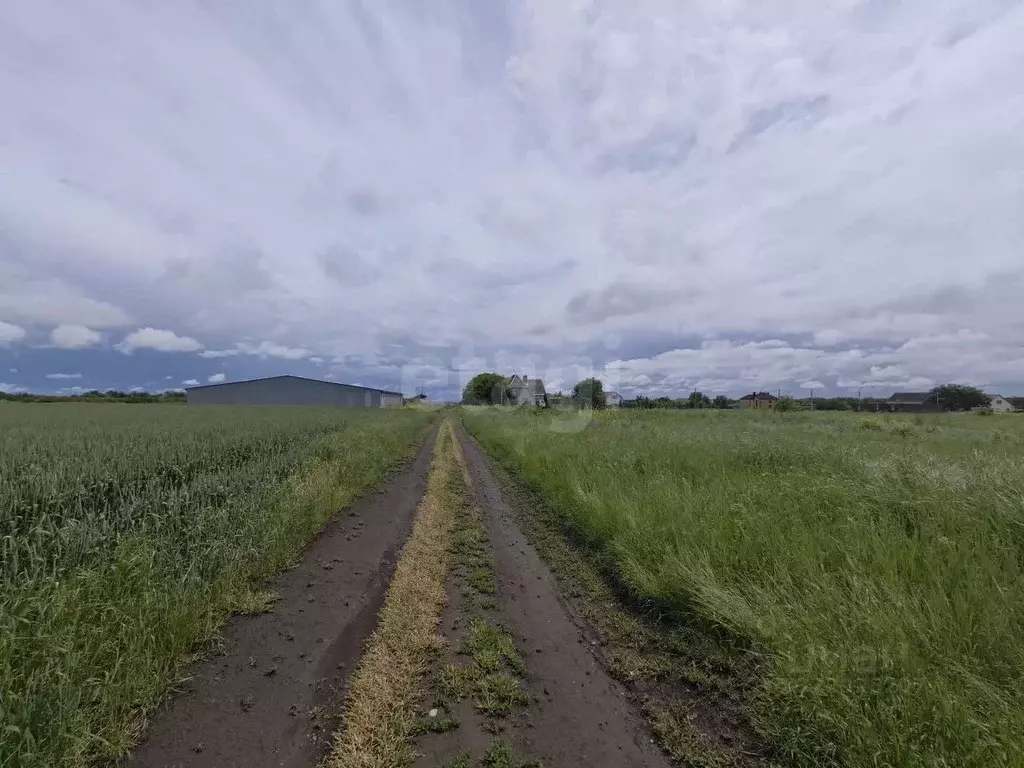 Участок в Ставропольский край, Предгорный муниципальный округ, пос. ... - Фото 1