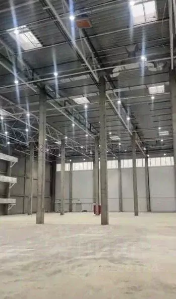 Склад в Московская область, Раменское ул. Михалевича, 49 (5400 м) - Фото 1