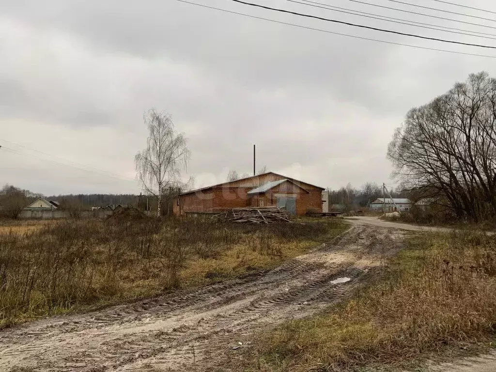 Склад в Владимирская область, Судогодский район, д. Лаврово  (757 м) - Фото 2
