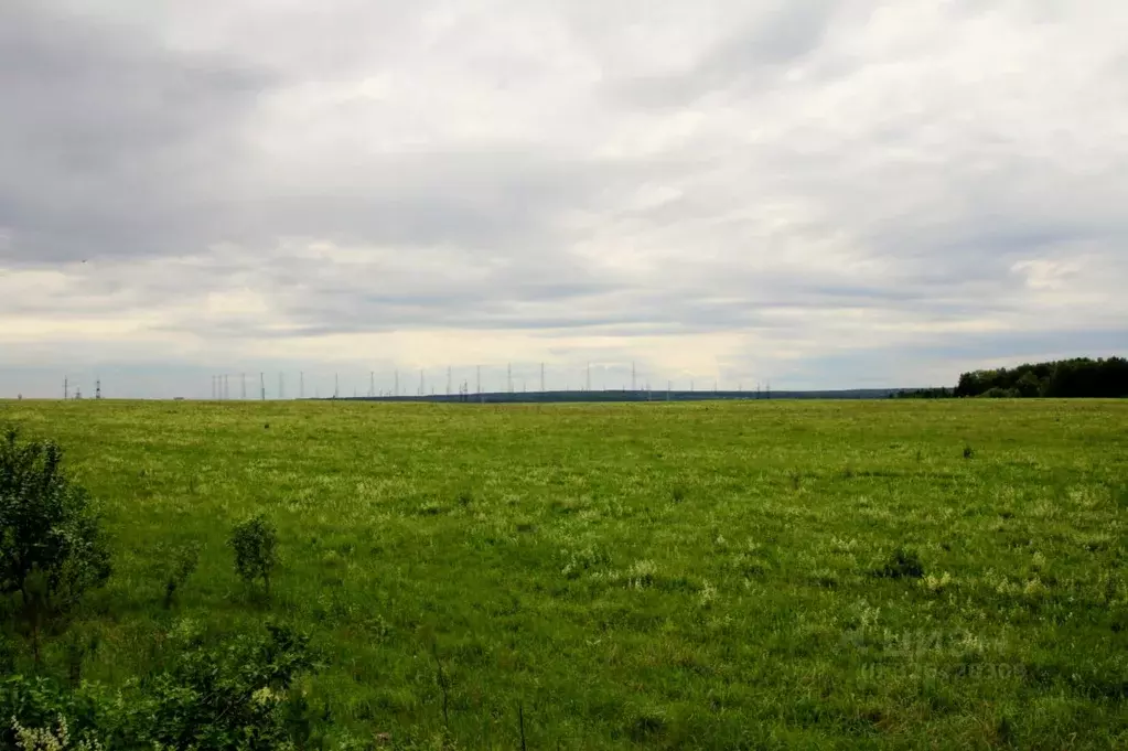 Участок в Свердловская область, Верхняя Пышма просп. Успенский (22.0 ... - Фото 2
