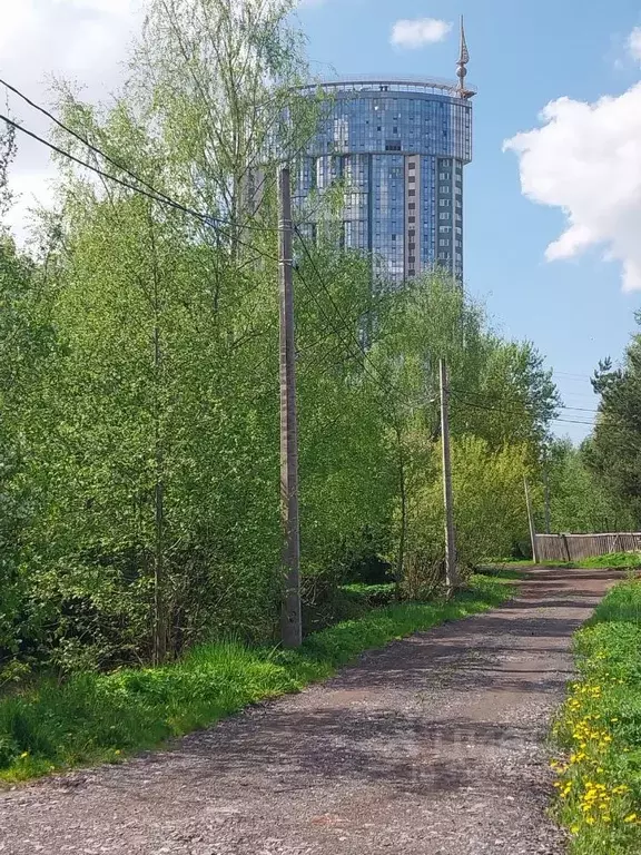 Участок в Санкт-Петербург Усть-Славянка тер., ул. Лесная (16.0 сот.) - Фото 1
