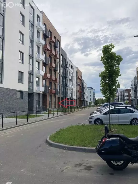 Помещение свободного назначения (64 м) - Фото 2