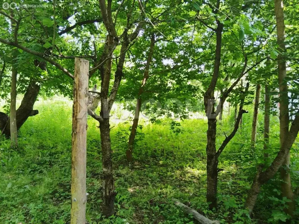 Участок в Брянск, территория СО Мечта (7.47 м) - Фото 0