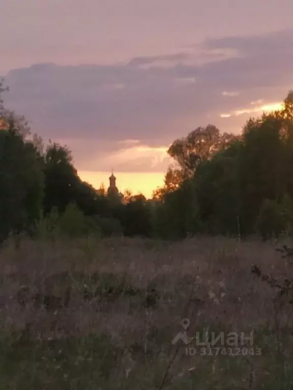 Участок в Рязанская область, Спасский район, Панинское с/пос, с. ... - Фото 0