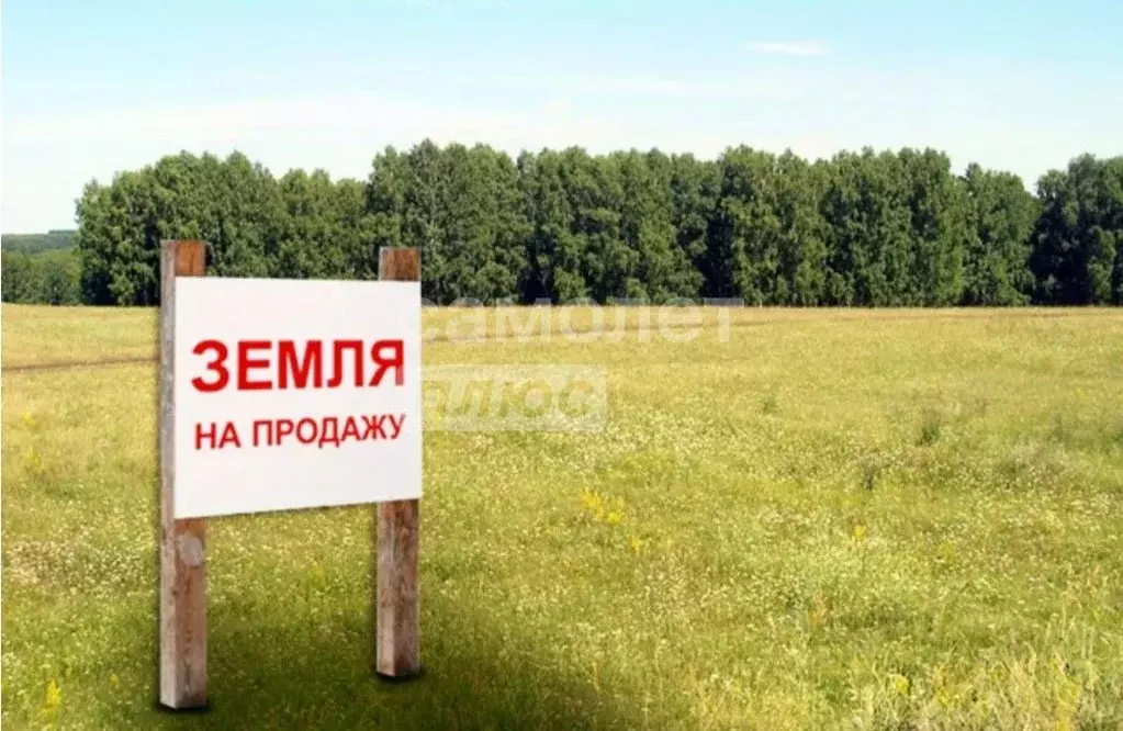 Участок в Башкортостан, Октябрьский Радужный мкр, ул. Березовая (8.4 ... - Фото 0