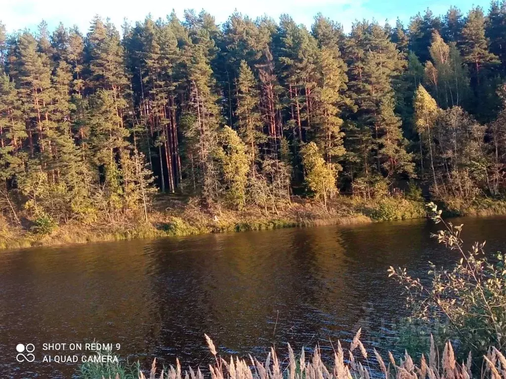 Участок в Тверская область, Кашинский муниципальный округ, д. Рагузино ... - Фото 1