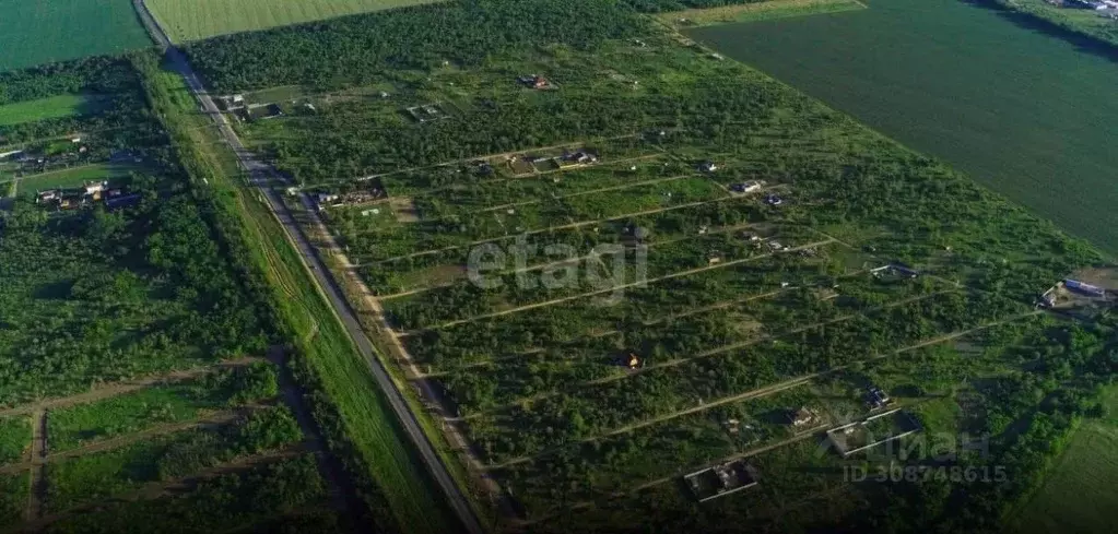 Участок в Ростовская область, Родионово-Несветайский район, ... - Фото 0