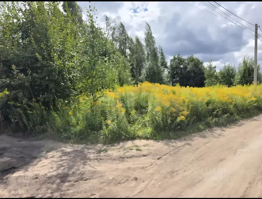 Участок в Брянская область, Брянский район, Снежское с/пос, с. ... - Фото 2