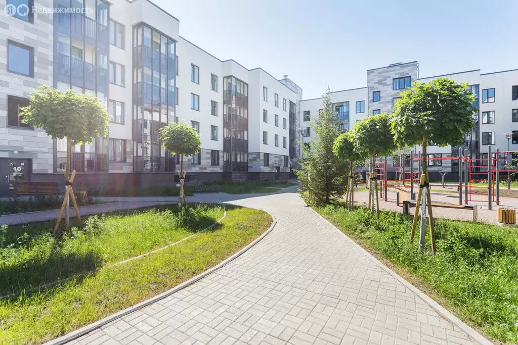 Квартира-студия: Санкт-Петербург, улица Ивана Куликова, 12 (24 м) - Фото 1