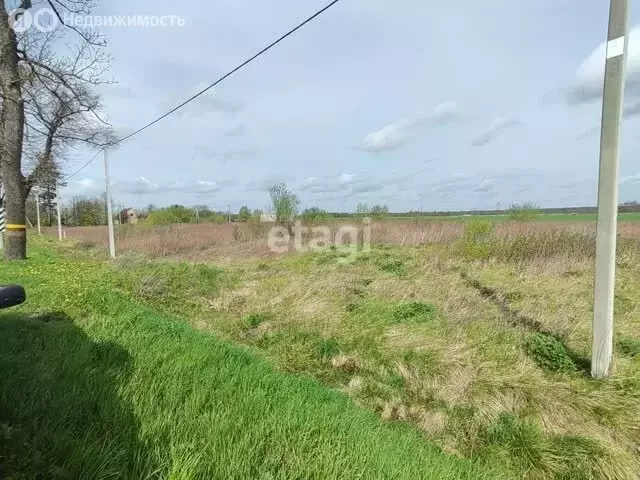 Участок в Калининградская область, Гурьевский муниципальный округ, ... - Фото 1