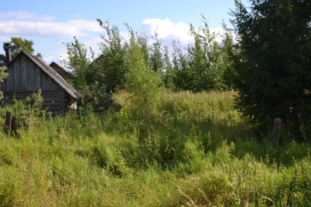 Участок в Тверская область, Осташковский городской округ, д. Сорога  ... - Фото 0