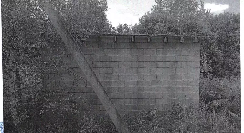 Помещение свободного назначения в Московская область, Щелково ... - Фото 1