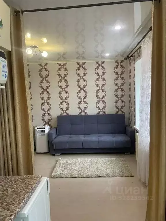 1-к кв. Татарстан, Казань ул. Голубятникова, 11а (25.5 м) - Фото 2