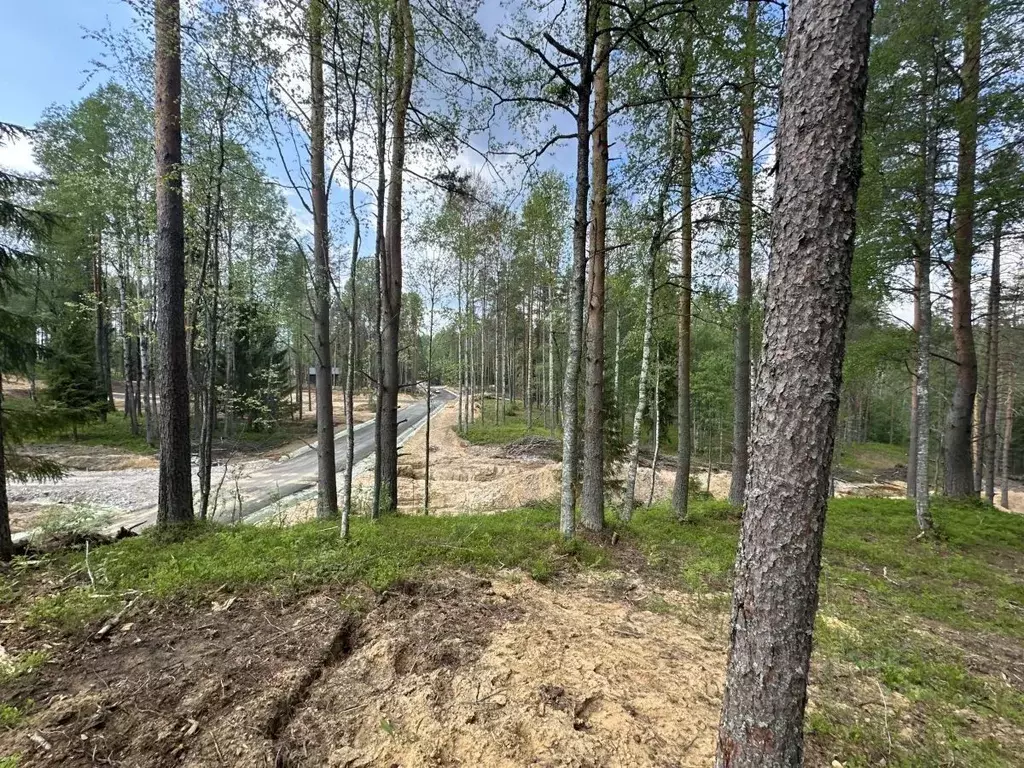 Участок в Ленинградская область, Всеволожский район, Куйвозовское ... - Фото 0