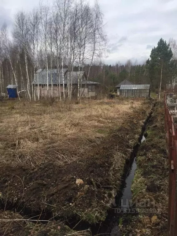 Участок в Московская область, Рузский муниципальный округ, д. ... - Фото 0
