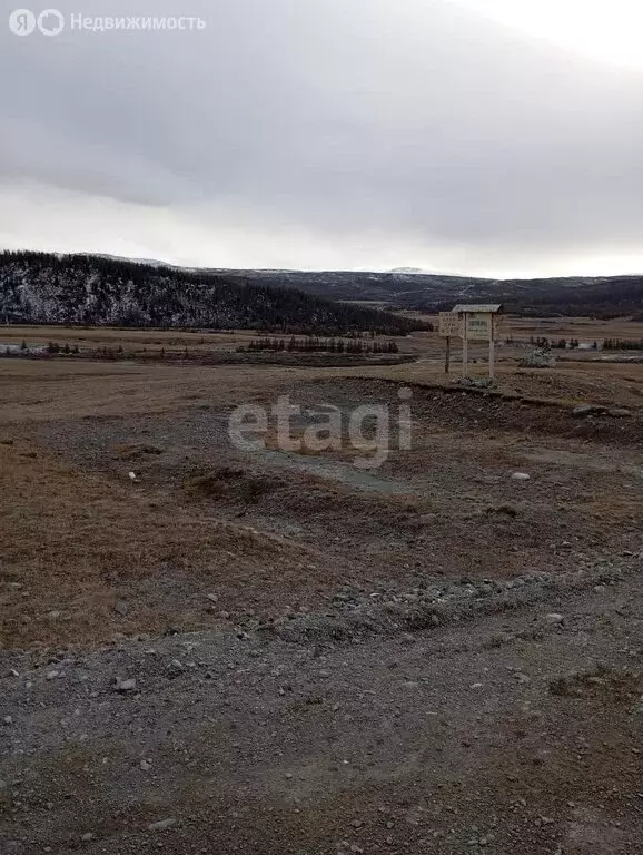 Участок в Кош-Агачский район, село Беляши (524.7 м) - Фото 1