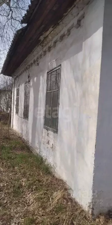 Дом в Кемеровская область, Кемерово Фестивальная ул., 1А (56 м) - Фото 1