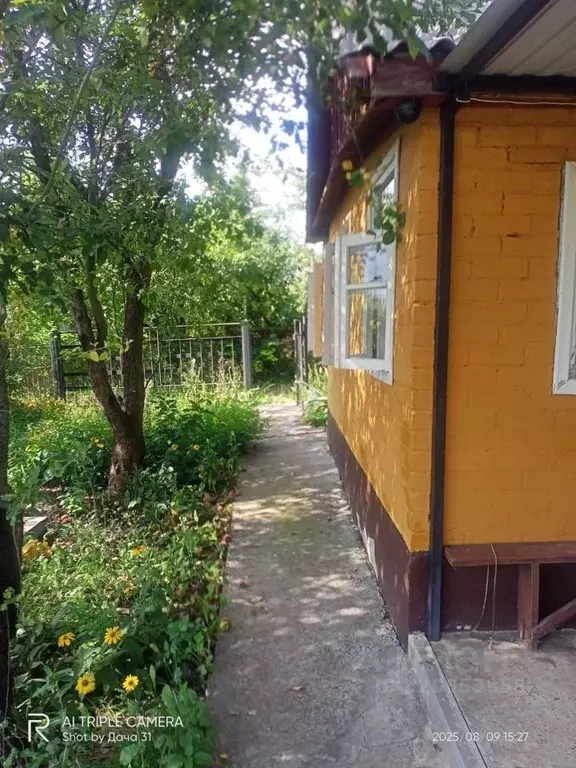 Дом в Белгородская область, Белгородский район, Никольское с/пос, с. ... - Фото 1