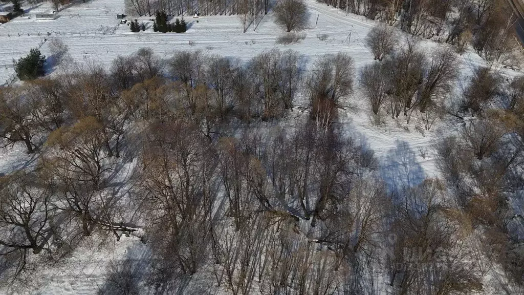 Участок в Московская область, Волоколамский муниципальный округ, д. ... - Фото 1