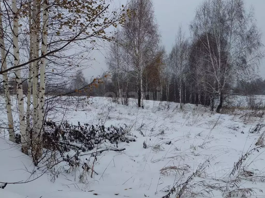 Участок в Кемеровская область, Кемерово ул. Федоровича (13.0 сот.) - Фото 1