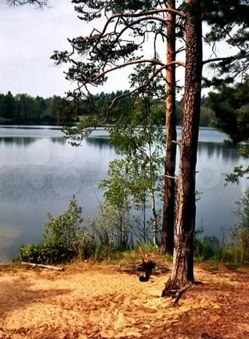 База отдыха на озере Светлое Юринского района рмэ - Фото 0