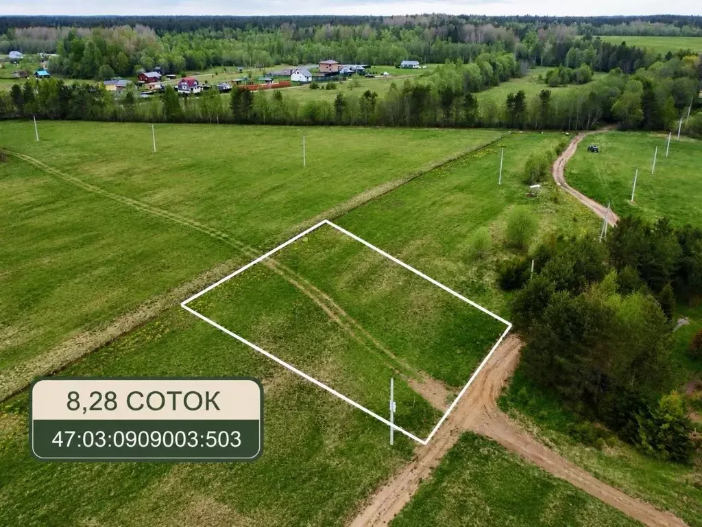 Участок в Ленинградская область, Приозерский район, Красноозерное ... - Фото 1