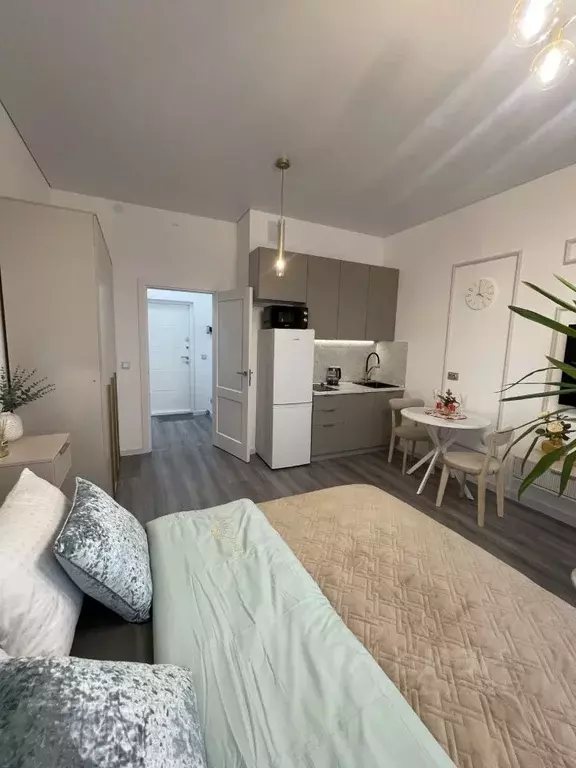 Студия Санкт-Петербург просп. Обуховской обороны, 36 (24.3 м) - Фото 1