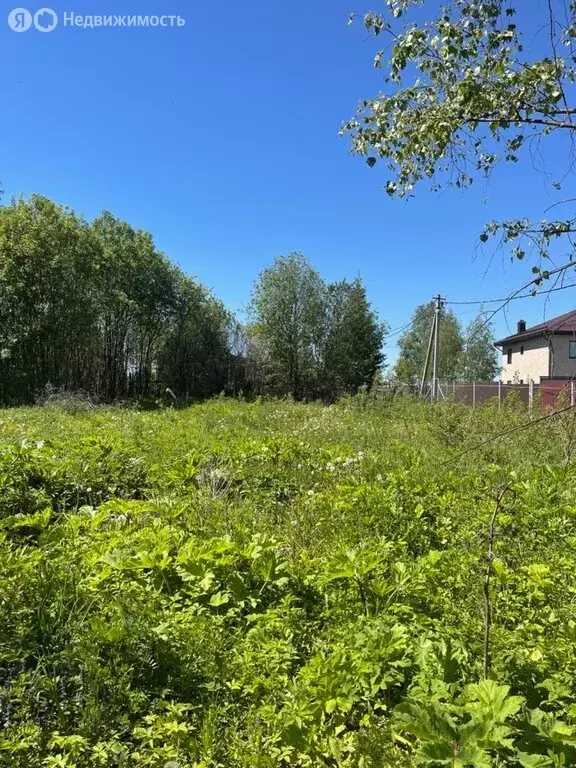 Участок в Московская область, муниципальный округ Чехов, деревня ... - Фото 0